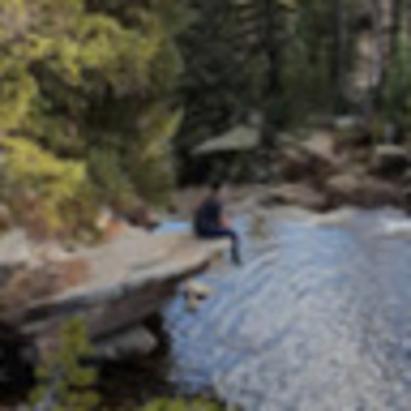 Meet your Posher, Rae - Picture 1 of 1